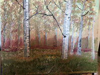 Silver birches  forest scene